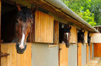 free Saltwell stable construction quotes